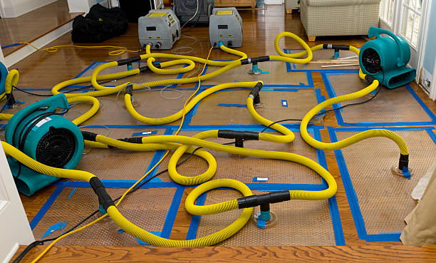 Professional Crawl Space Water Removal technician working in The Plains, OH